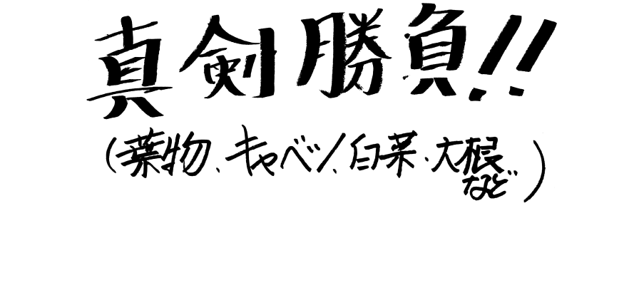 真剣勝負！！（葉物、キャベツ、白菜、大根など）